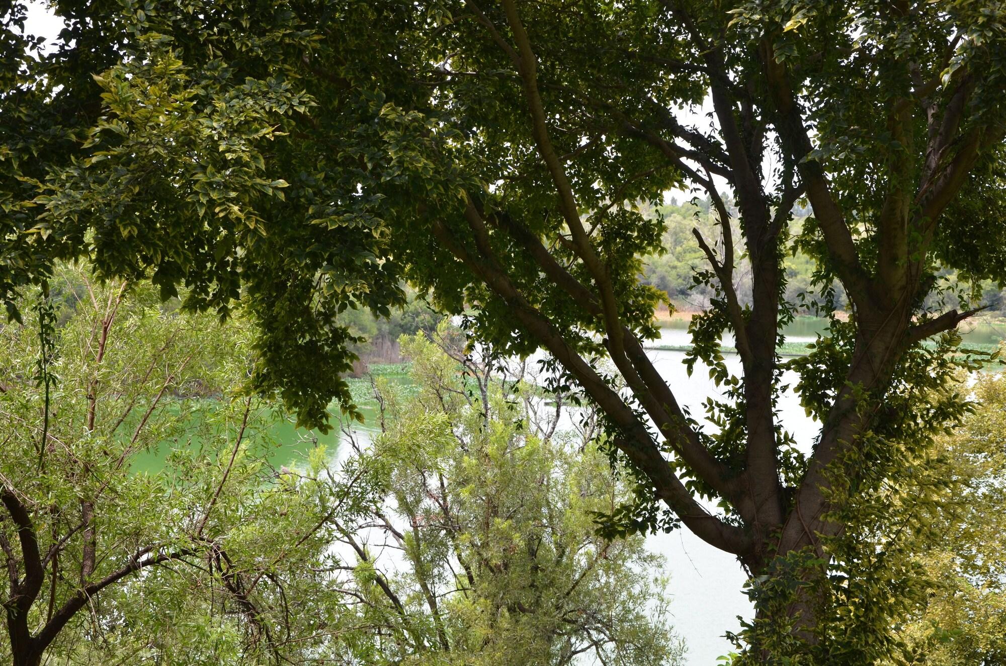 Premier Hotel Roodevalley Pretoria-Noord Zewnętrze zdjęcie